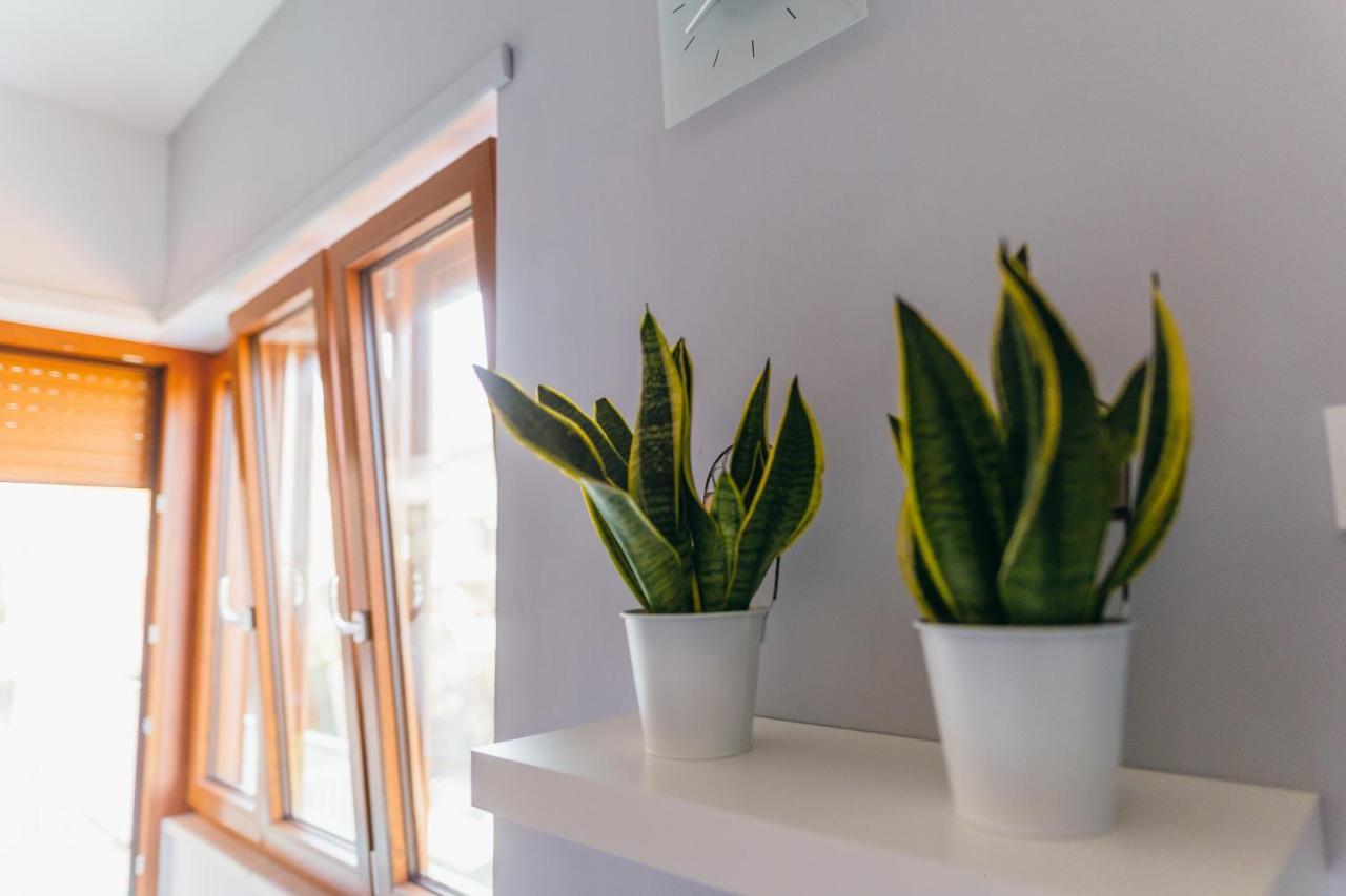Sorrento City Apartment Εξωτερικό φωτογραφία